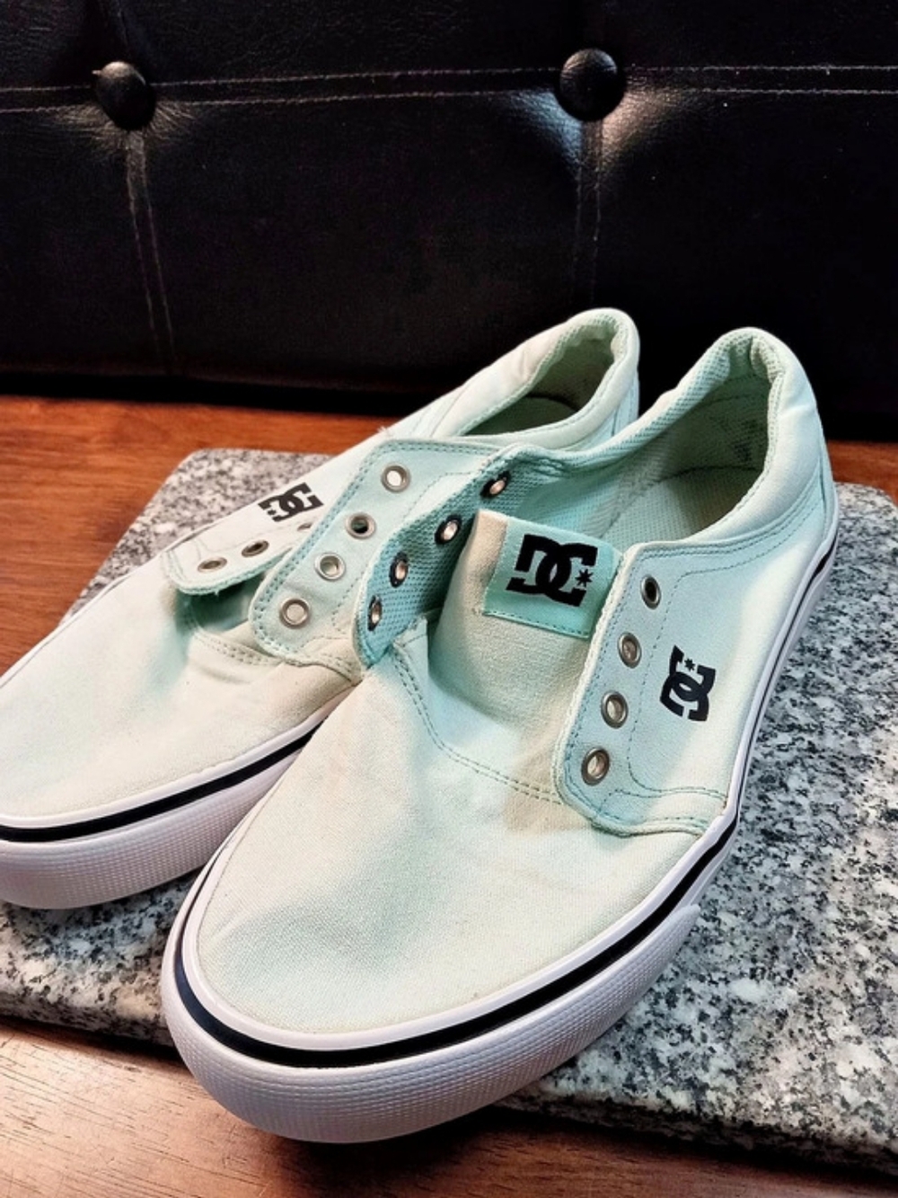 DC Trase TX Canvas Sneakers in Green & White
